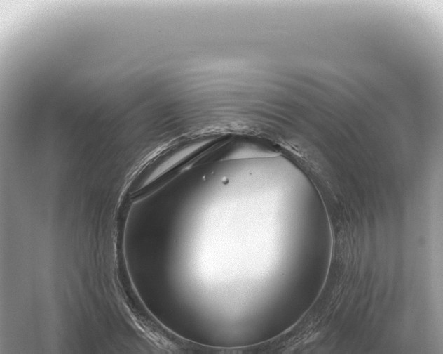 X0000054420446200508051810