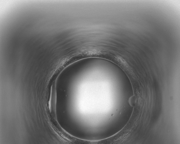 X0000054420447200508051810