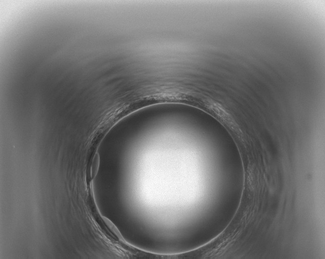 X0000054420449200508051810