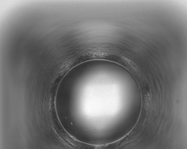 X0000054420451200508051810