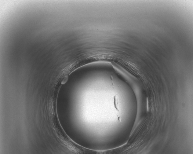 X0000054420453200508051810