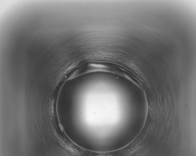 X0000054420454200508051810