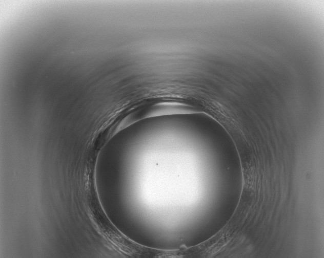 X0000054420456200508051810