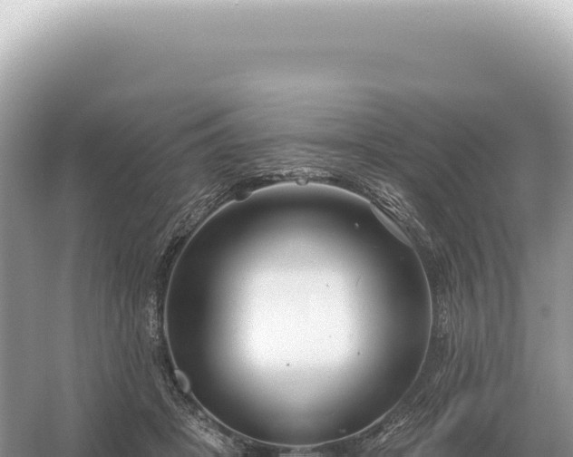 X0000054420457200508051810