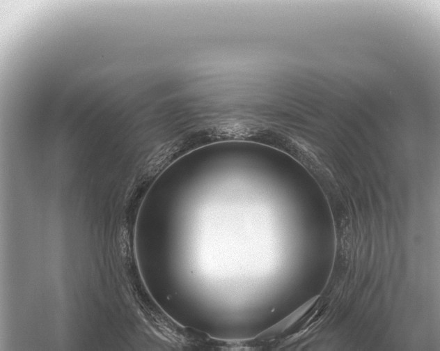 X0000054420459200508051810