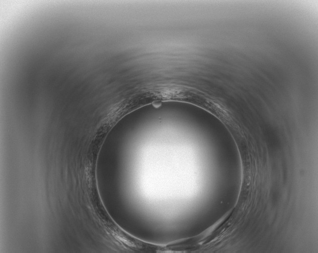 X0000054420461200508051810