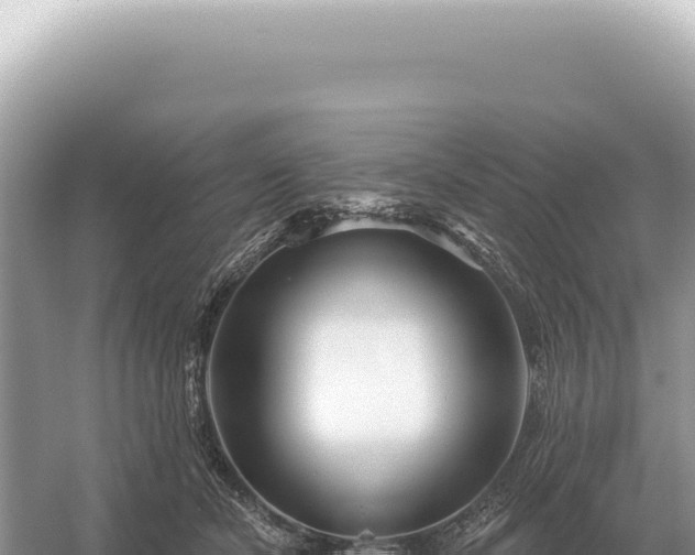 X0000054420462200508051810