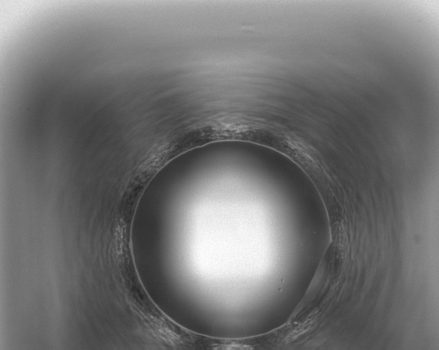 X0000054420463200508051810