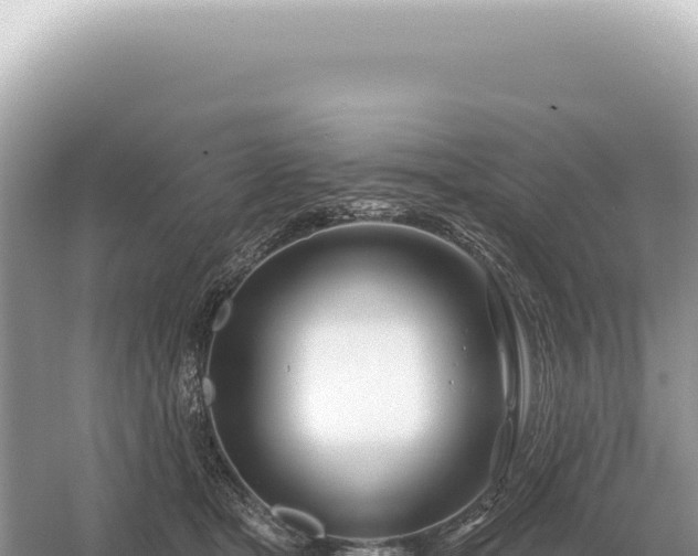 X0000054420465200508051810