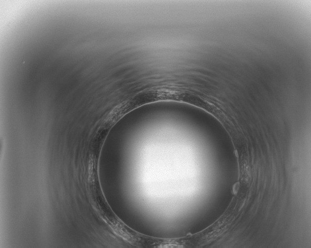 X0000054420468200508051810