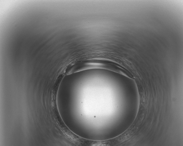 X0000054420470200508051810