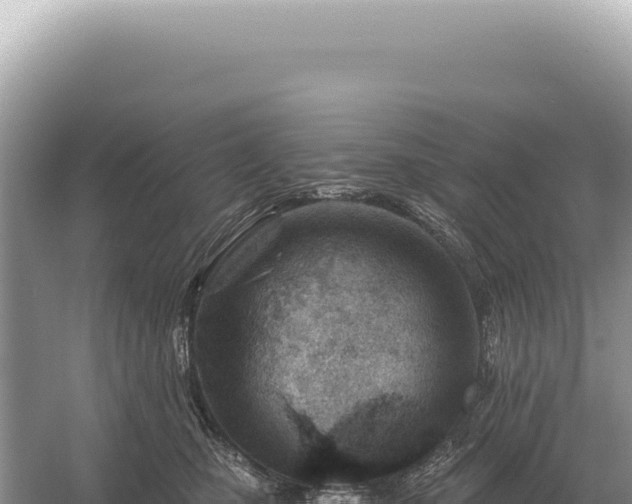 X0000054420471200508051810