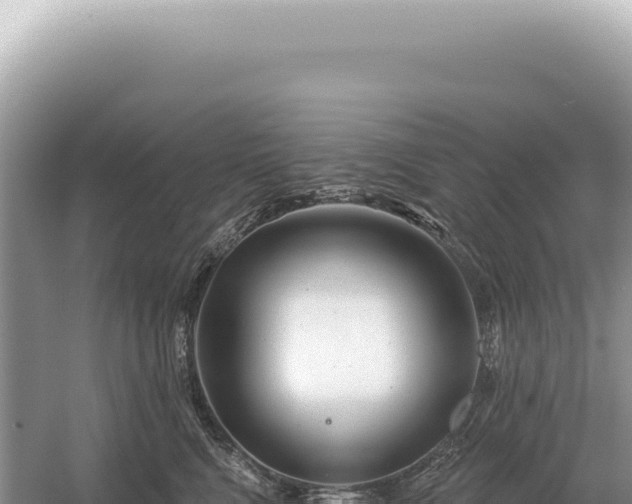 X0000054420472200508051810