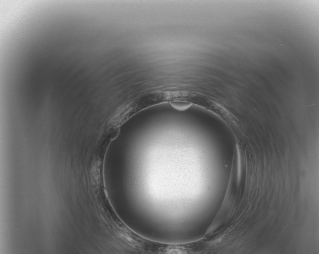 X0000054420475200508051810