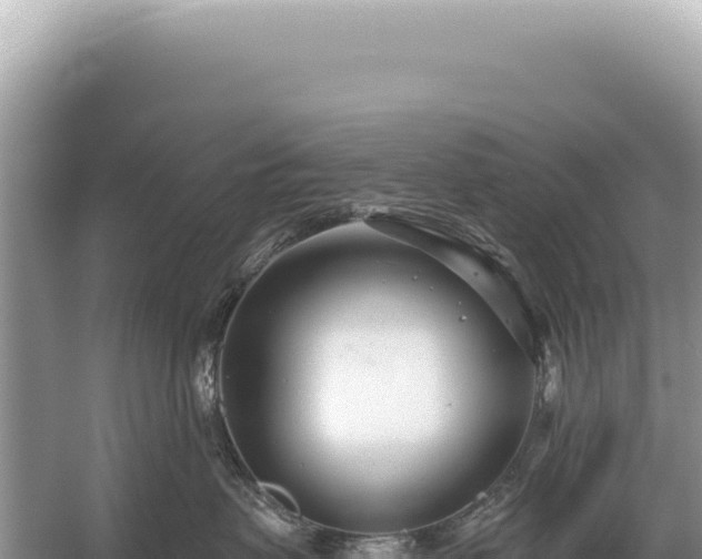 X0000054420479200508051810