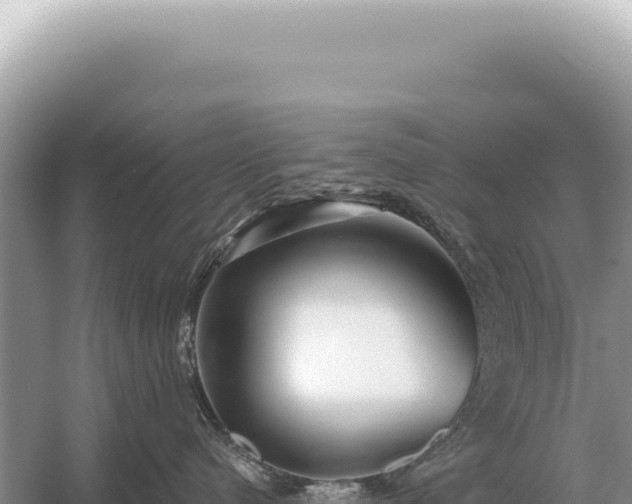 X0000054420480200508051810