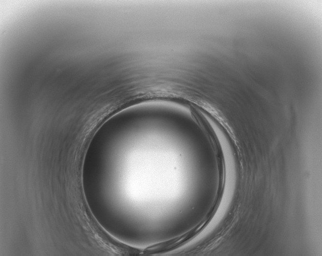 X0000054420481200508051810