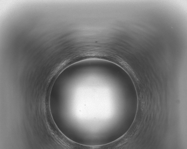 X0000054420482200508051810