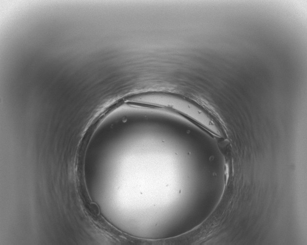 X0000054420483200508051810