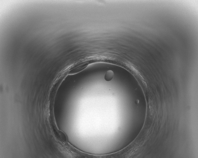 X0000054420486200508051810