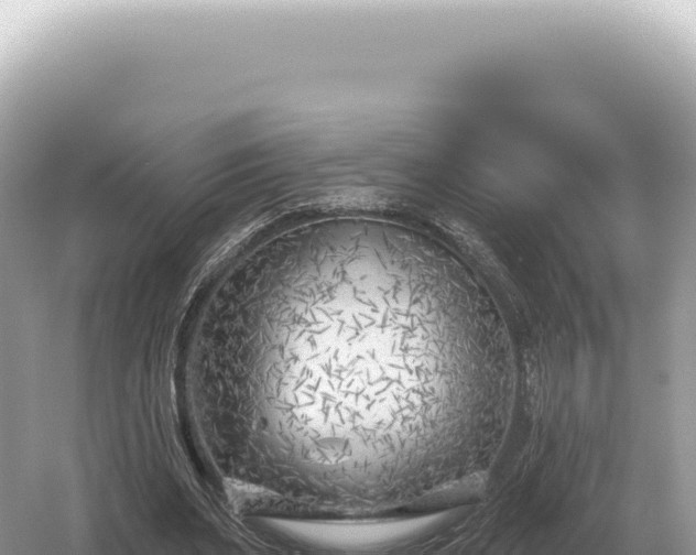 X0000054420487200508051810