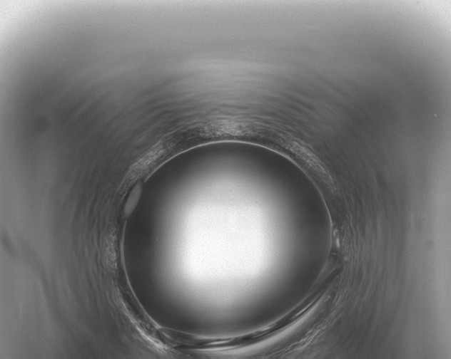 X0000054420489200508051810