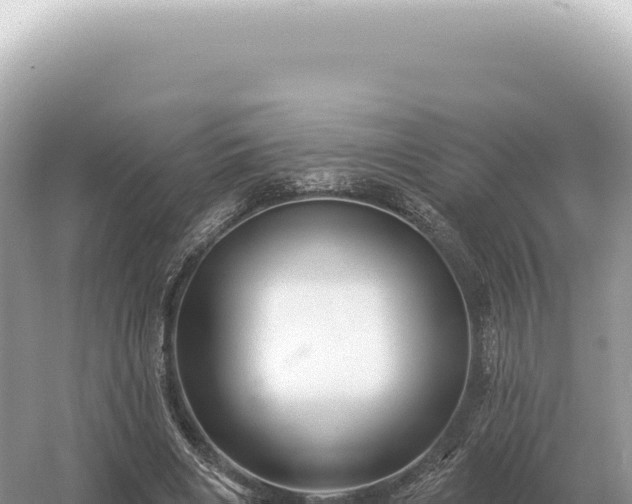 X0000054420490200508051810