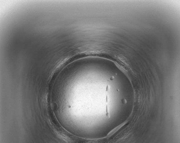 X0000054420491200508051809