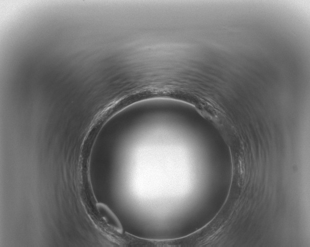 X0000054420492200508051809