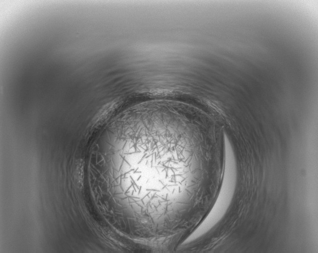 X0000054420495200508051809