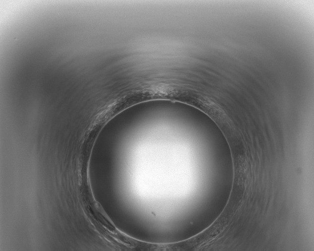 X0000054420496200508051809