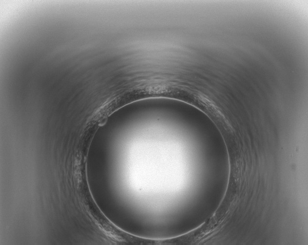 X0000054420497200508051809