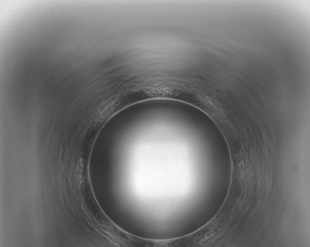 X0000054420498200508051809