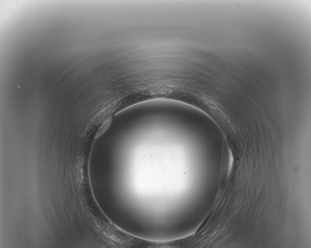 X0000054420501200508051809