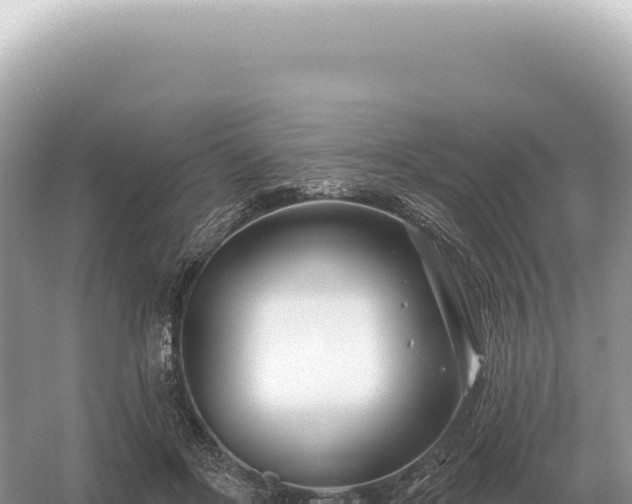 X0000054420502200508051809