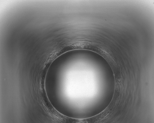 X0000054420504200508051809