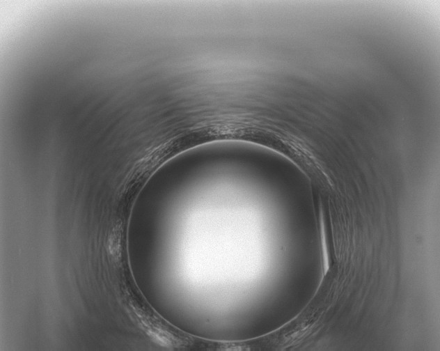 X0000054420505200508051809