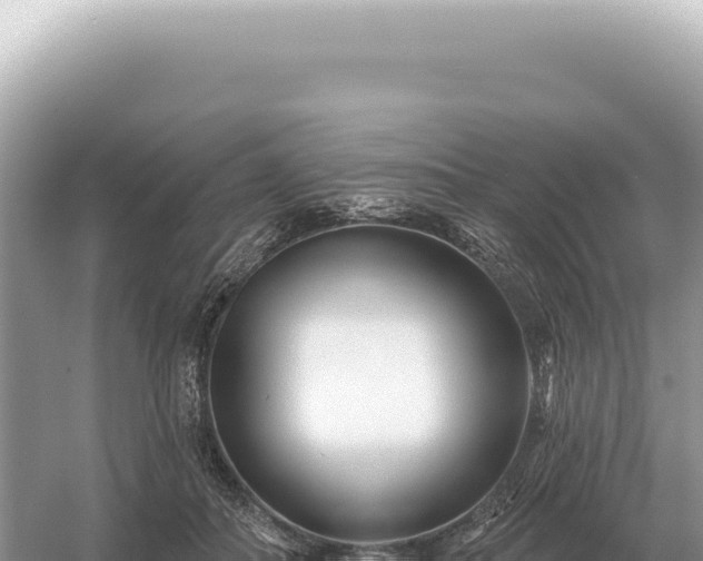 X0000054420506200508051809