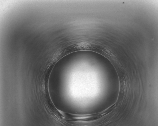 X0000054420508200508051809