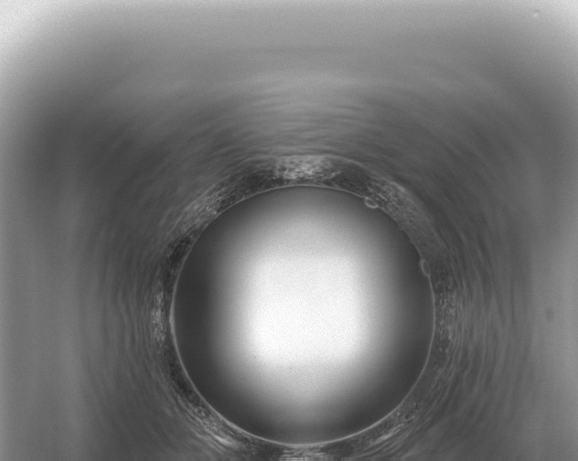 X0000054420510200508051809