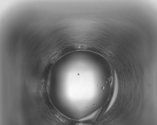 X0000054420511200508051809