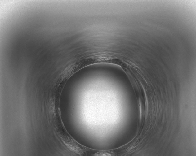 X0000054420512200508051809