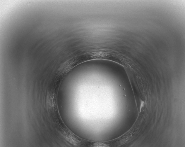 X0000054420514200508051809