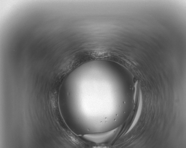 X0000054420515200508051809