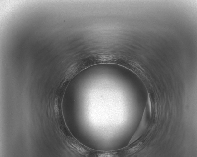 X0000054420516200508051809