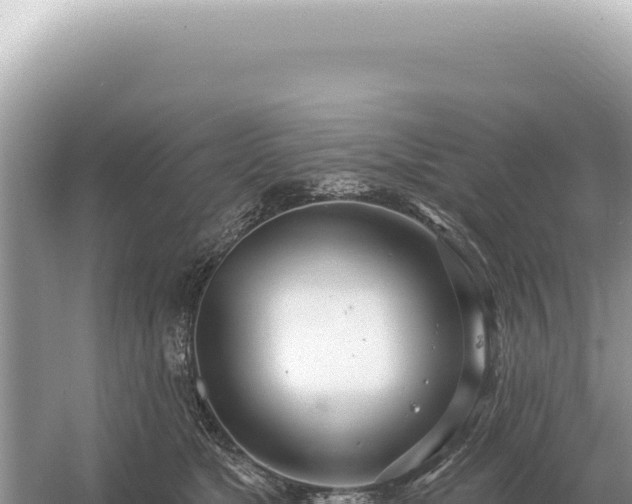 X0000054420517200508051809