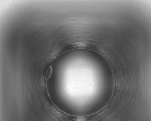 X0000054420518200508051809