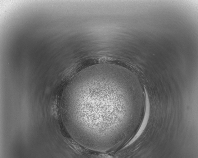 X0000054420519200508051809