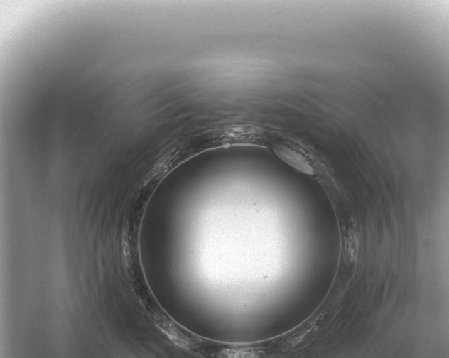 X0000054420520200508051809