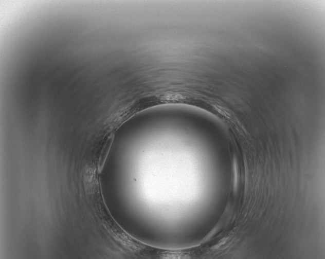 X0000054420521200508051809